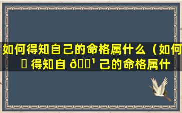 如何得知自己的命格属什么（如何 ☘ 得知自 🌹 己的命格属什么五行）